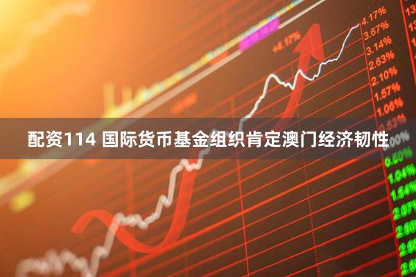 配资114 国际货币基金组织肯定澳门经济韧性